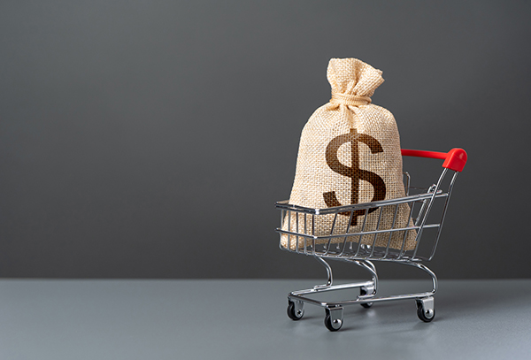 money bag in shopping cart - sales tax audit