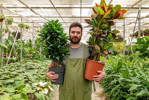 plant shop owner holding plants
