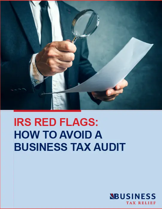 IRS Red Flags How to Avoid a Business Tax Audit pdf download