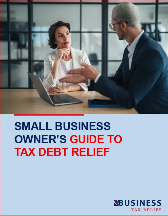 Small Business Owners Guide to Tax Debt Relief pdf download