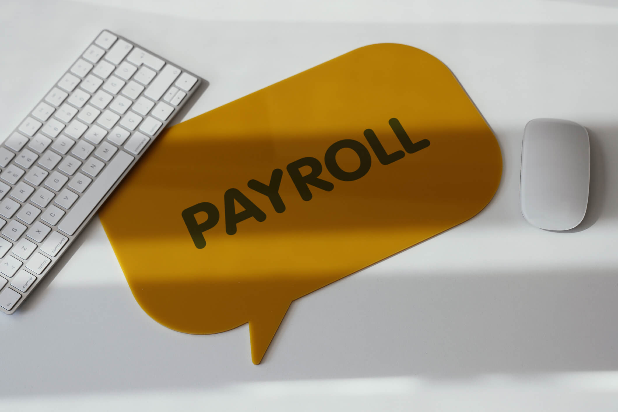 unpaid payroll taxes